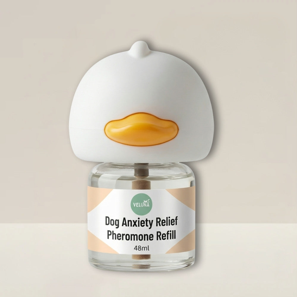 Veluna Feromonos Párologtató Kutyák Számára