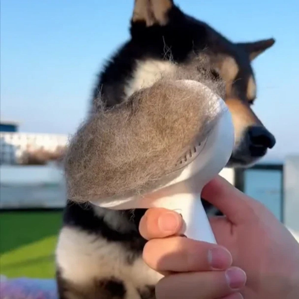 Veluna FreshBrush Tisztító Permettel