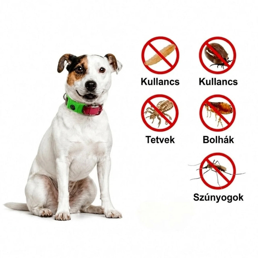 Veluna Bolha- és Kullancsellenes Nyakörv
