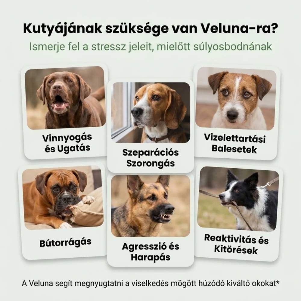 Veluna Feromonos Párologtató Kutyák Számára