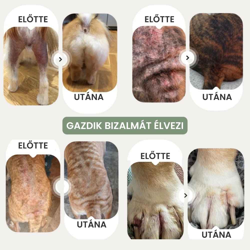 Veluna Állatorvos által Jóváhagyott Bőrnyugtató Permet Kutyáknak
