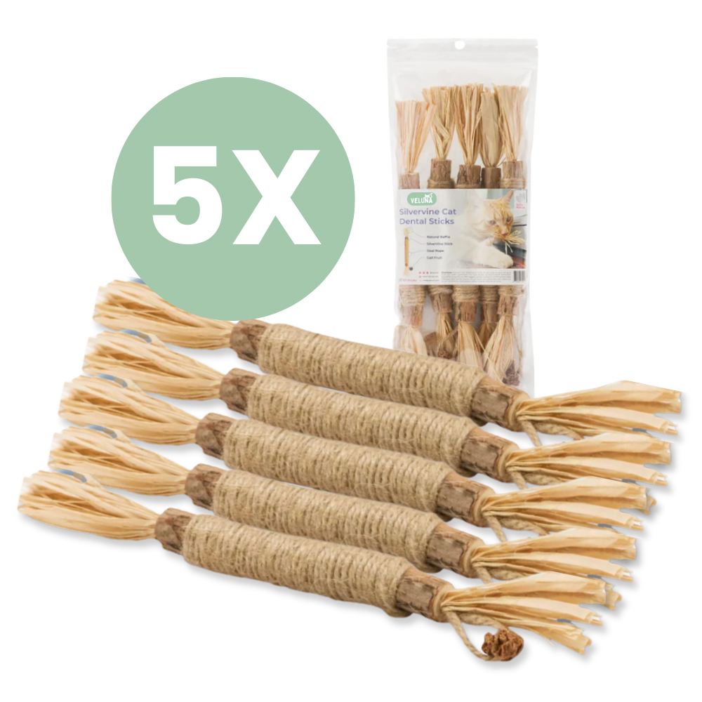 Veluna DentaSticks (5-ös csomag)