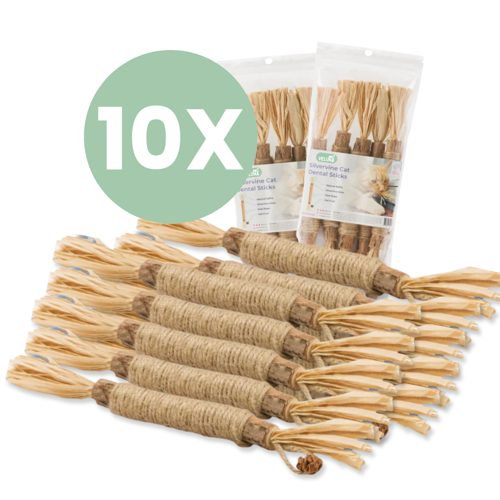 Veluna Dentasticks macskák számára
