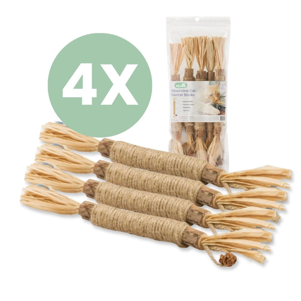 Dentasticks