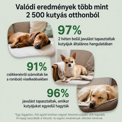 Veluna Feromonos Párologtató Kutyák Számára