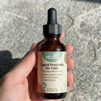 Veluna Fejlett Folyékony Probiotikum Macskák Számára