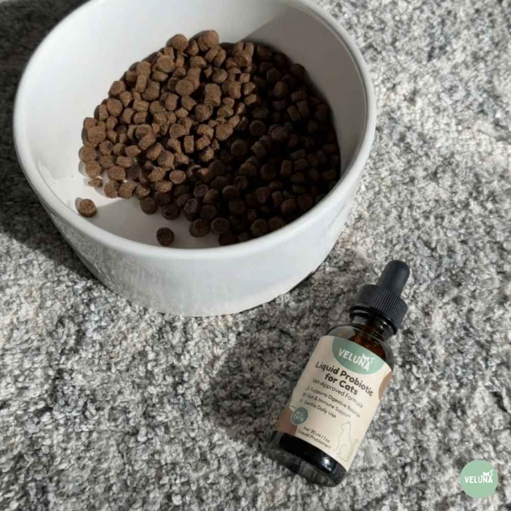 Veluna Fejlett Folyékony Probiotikum Macskák Számára