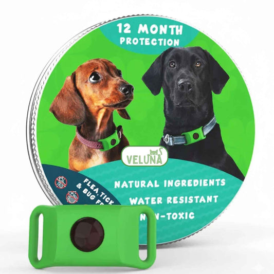 Veluna nyakörv – Bolha- és kullancsriasztó nyakörv