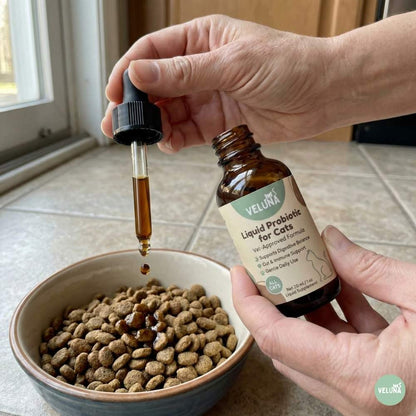 Veluna Fejlett Folyékony Probiotikum Macskák Számára