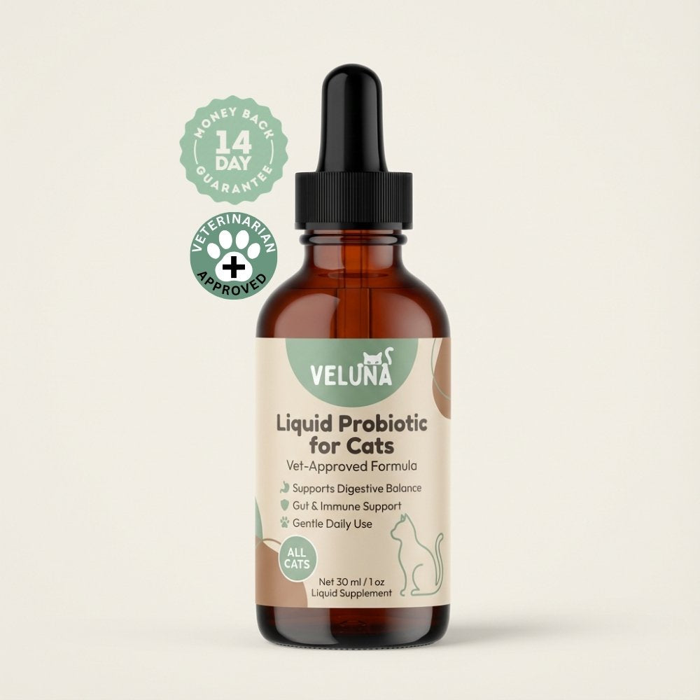 Veluna Fejlett Folyékony Probiotikum Macskák Számára