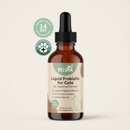 Veluna Fejlett Folyékony Probiotikum Macskák Számára