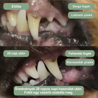 Veluna Fogászati Por Kutyáknak