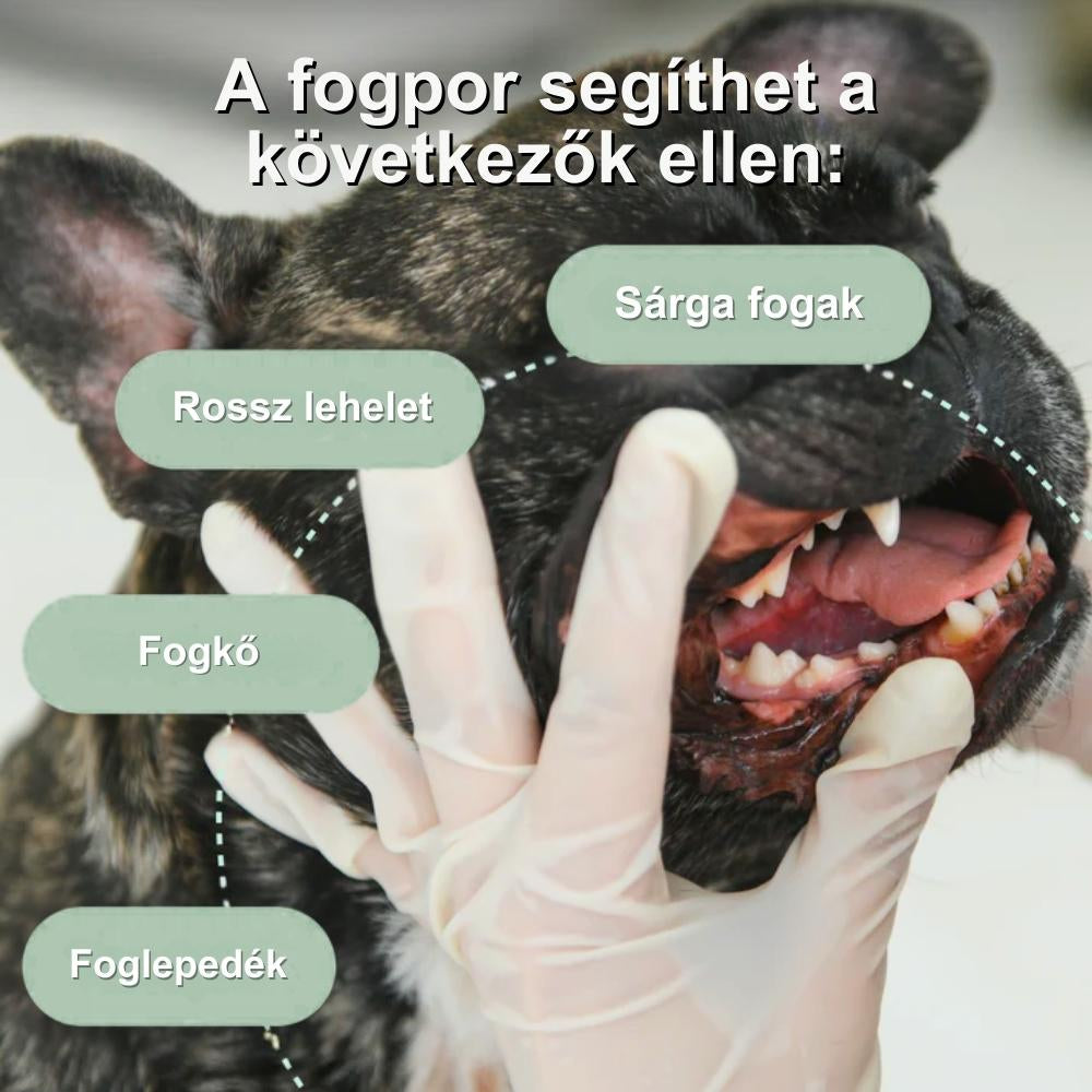 Veluna Fogászati Por Kutyáknak