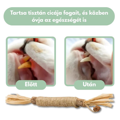 Veluna DentaSticks (5-ös csomag)