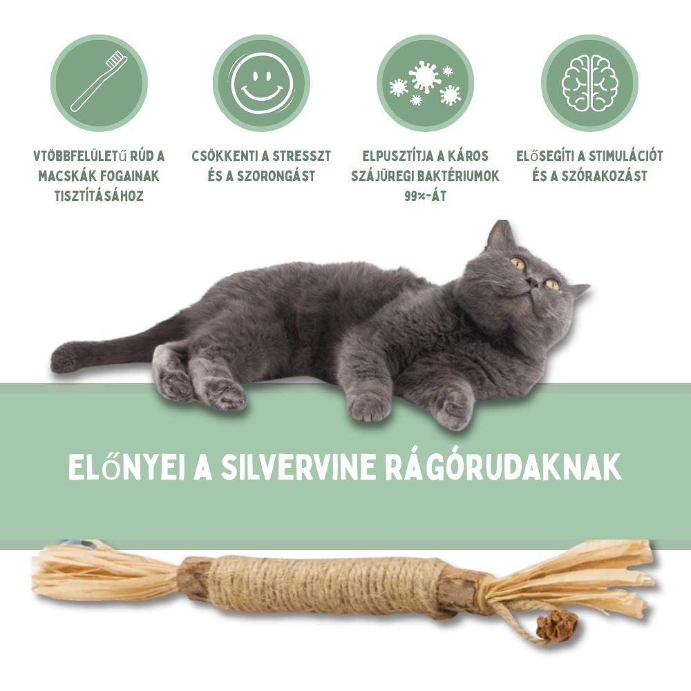 Veluna DentaSticks (5-ös csomag)