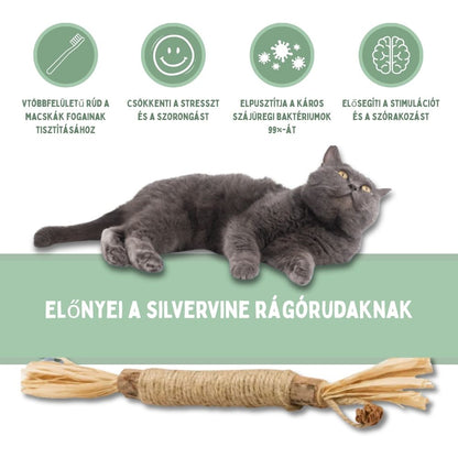 Veluna DentaSticks (5-ös csomag)