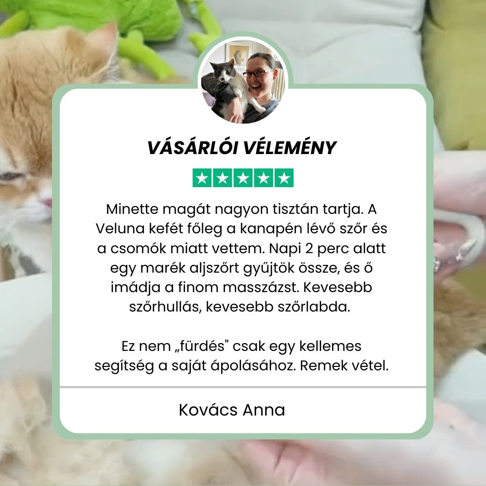 Veluna Steam Brush macskáknak