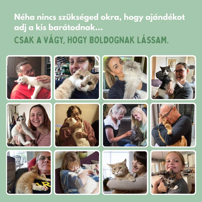 Interaktív macskajáték tollakkal, függesztve és ruganyos mozgással