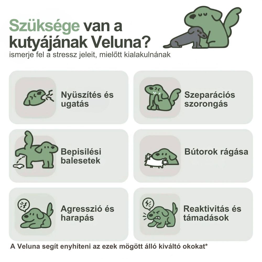 Veluna Feromonos Párologtató Kutyák Számára