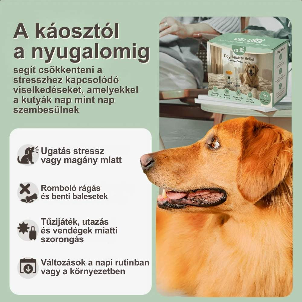 Veluna Feromonos Párologtató Kutyák Számára