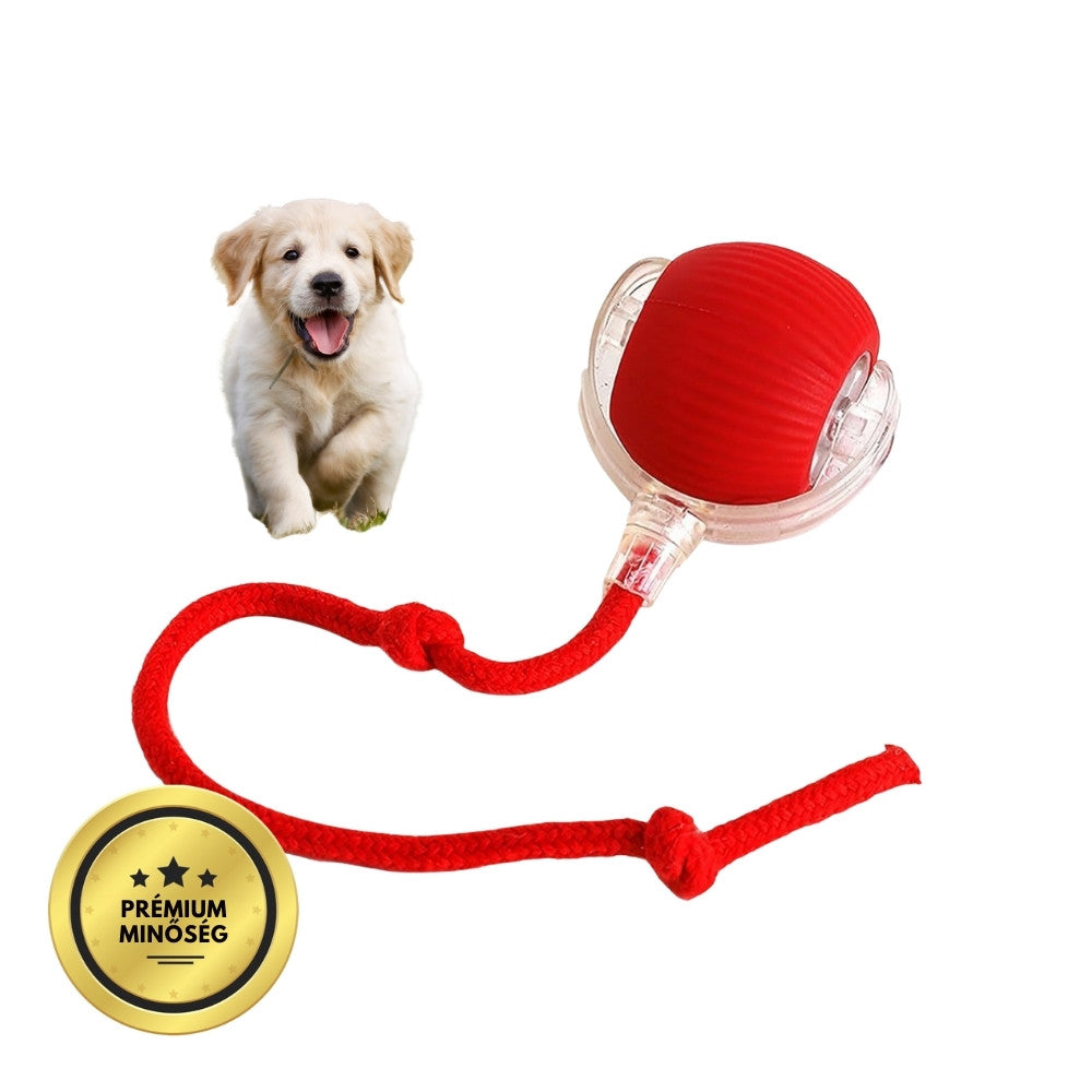 Veluna Smart Ball Kutyák Számára