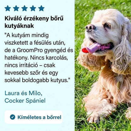 GroomPro – Szőrtelenítő Kefe