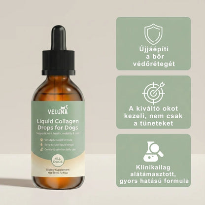 Veluna Prémium Folyékony Kollagén Kutyáknak