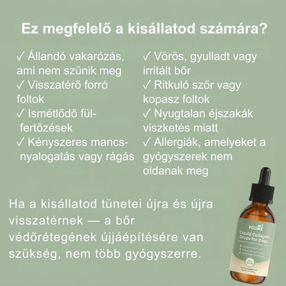 Veluna Prémium Folyékony Kollagén Kutyáknak