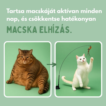 Interaktív macskajáték tollakkal, függesztve és ruganyos mozgással
