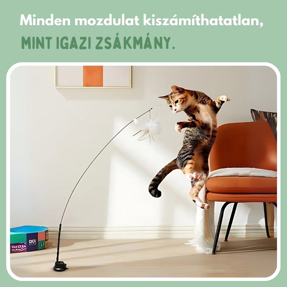Interaktív macskajáték tollakkal, függesztve és ruganyos mozgással