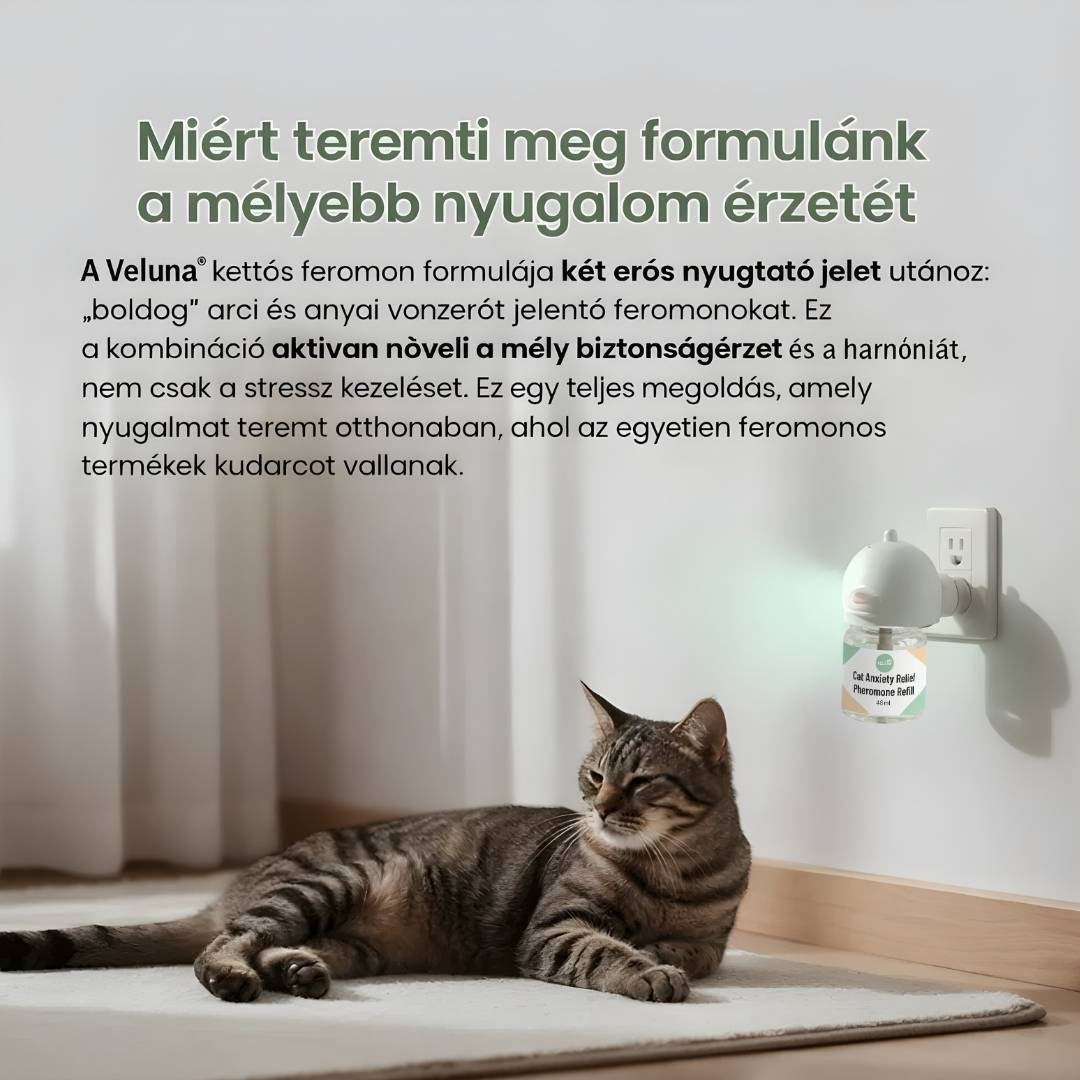 Macska Szorongás Enyhítő Pheromon Diffúzor