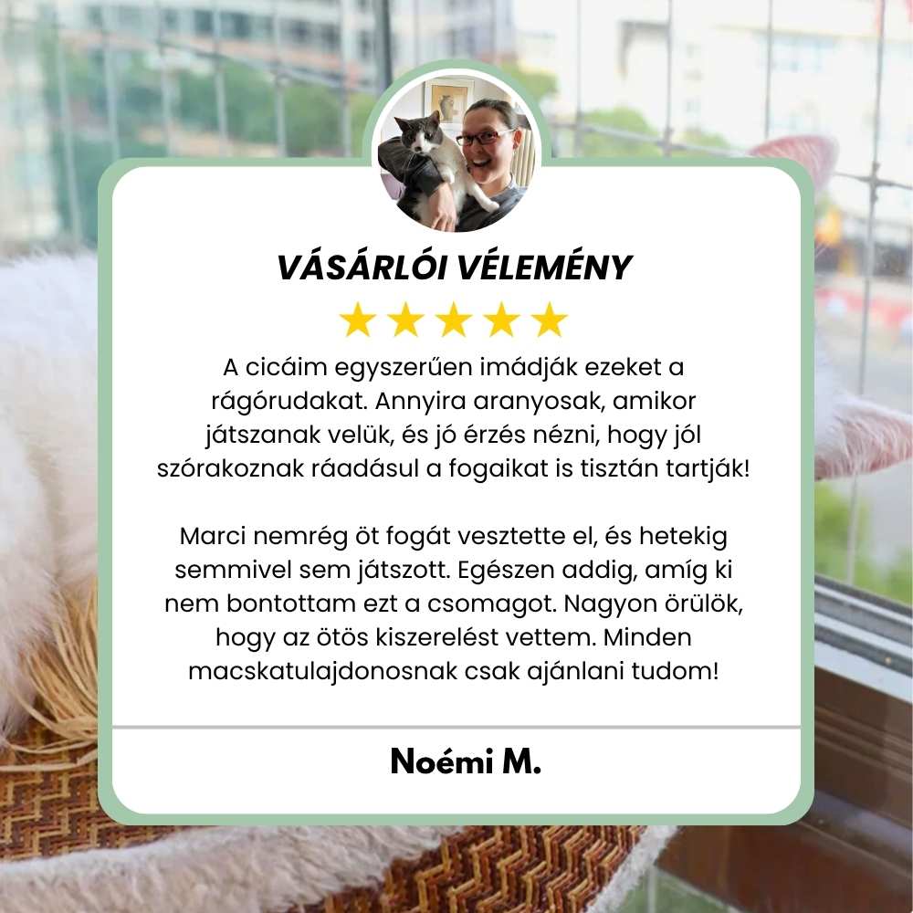 Veluna DentaSticks (5-ös csomag)