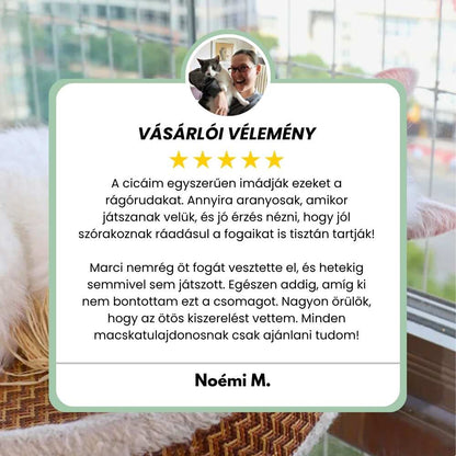 Veluna DentaSticks (5-ös csomag)