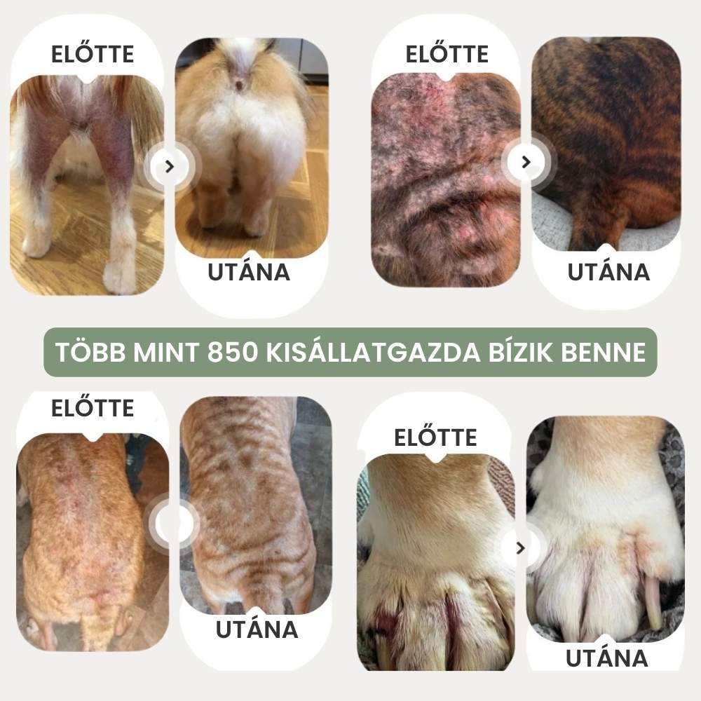 Veluna Állatorvos által Jóváhagyott Bőrnyugtató Permet Kutyáknak