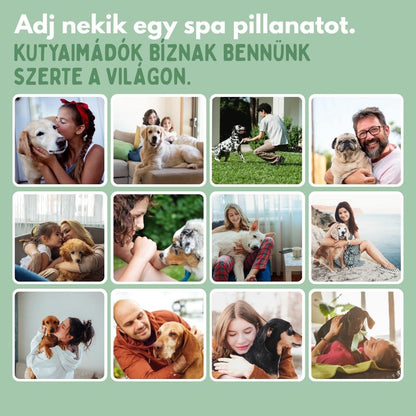 Veluna Steam Brush kutyáknak