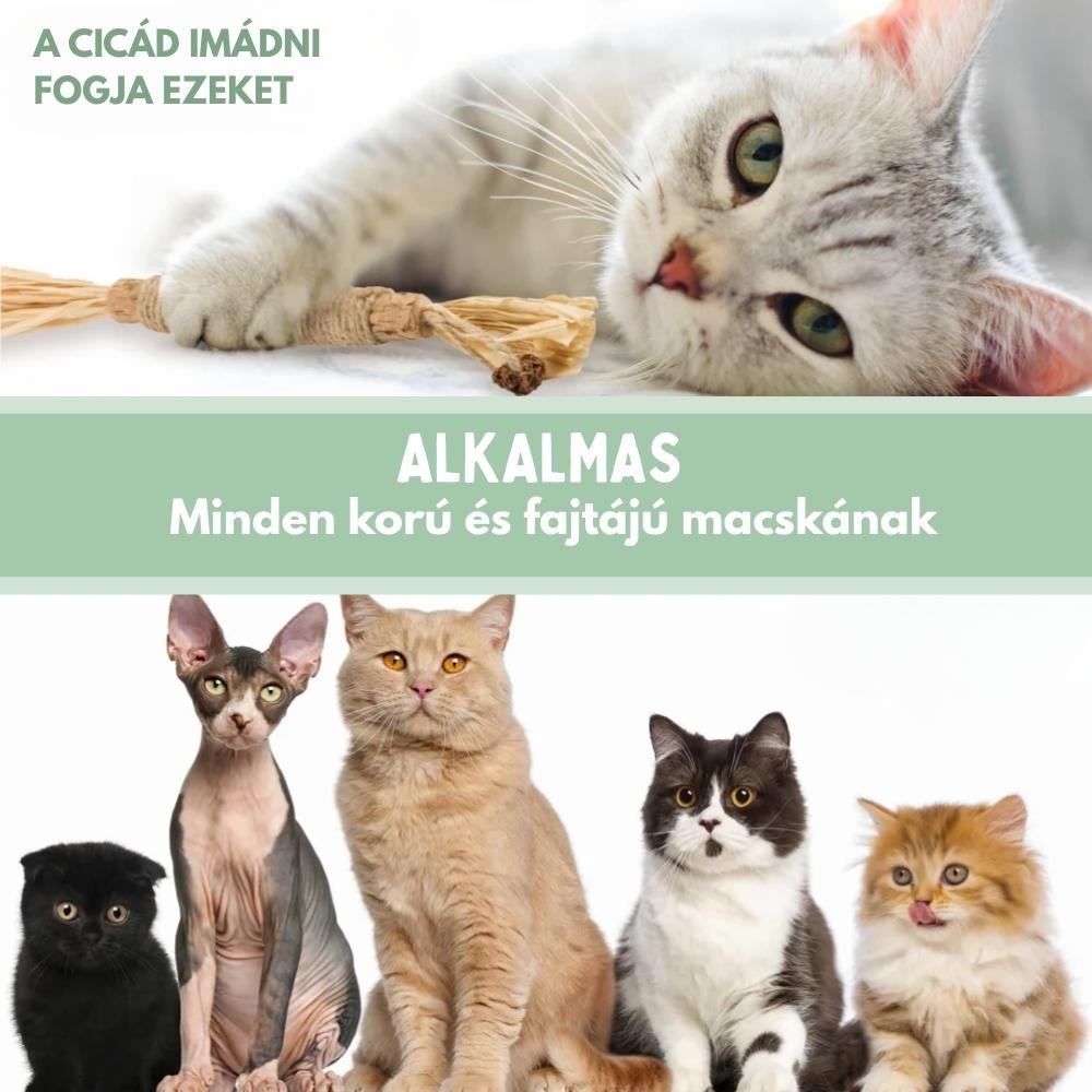 Veluna DentaSticks (5-ös csomag)