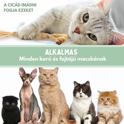 Veluna DentaSticks (5-ös csomag)