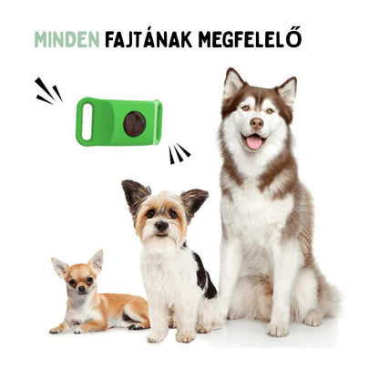 Veluna Bolha- és Kullancsellenes Nyakörv