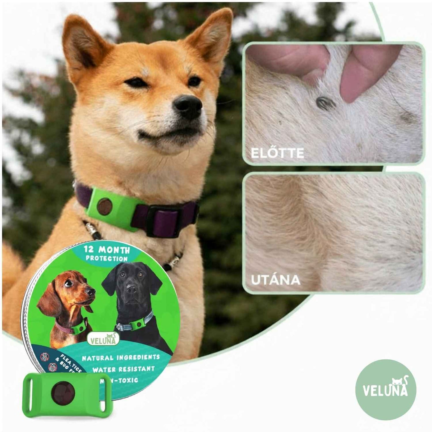 Veluna Bolha- és Kullancsellenes Nyakörv