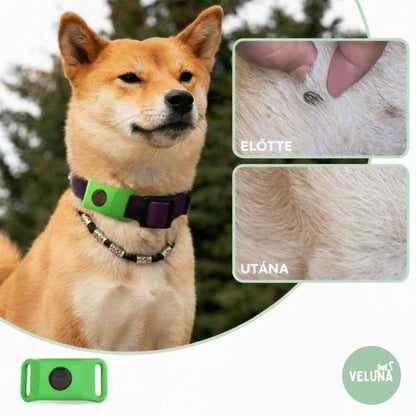 Veluna Bolha- és Kullancsellenes Nyakörv