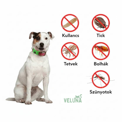 Veluna Bolha- és Kullancsellenes Nyakörv
