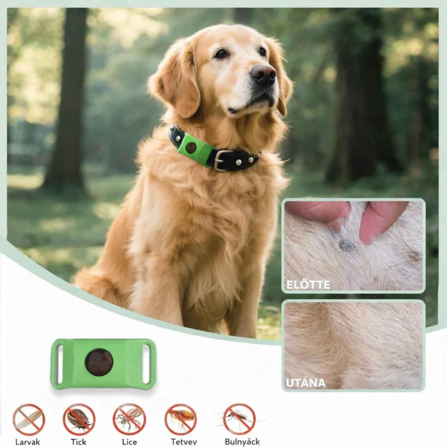 Veluna Bolha- és Kullancsellenes Nyakörv