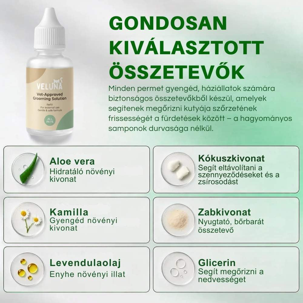 Veluna FreshBrush Tisztító Permettel