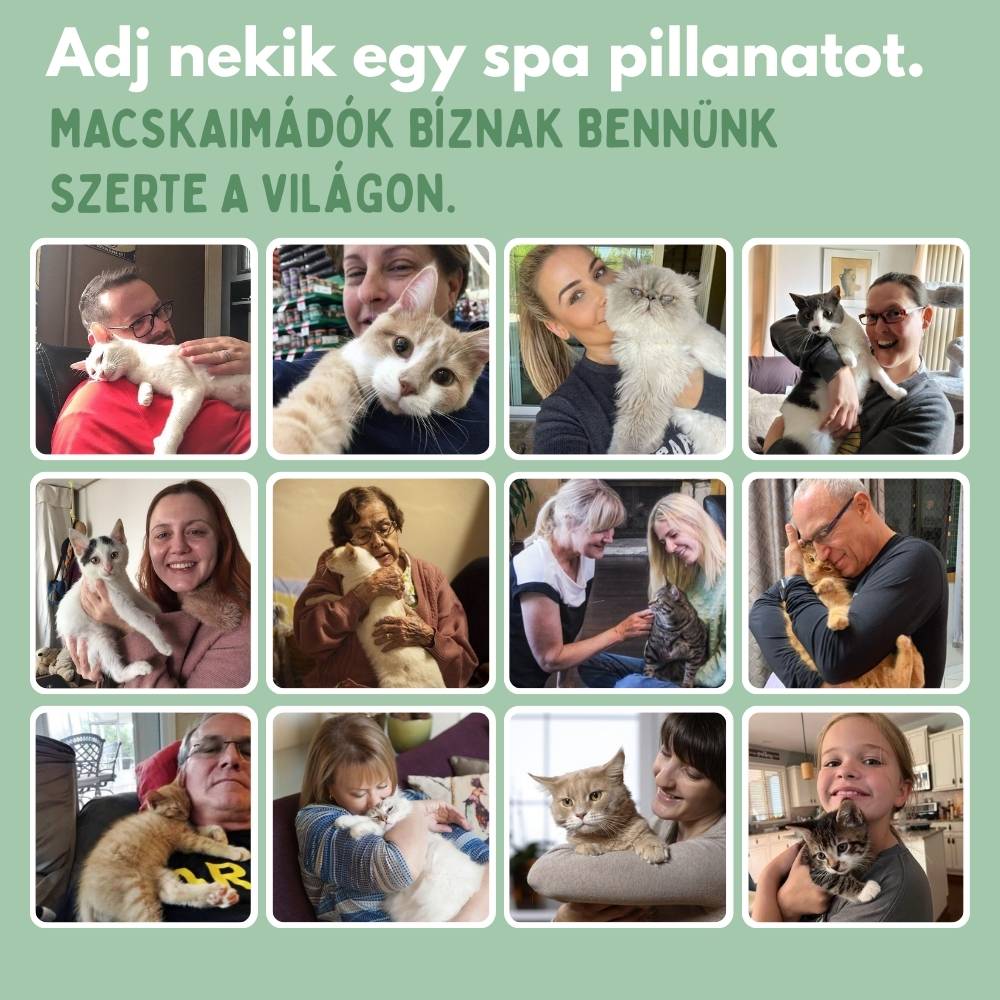 Veluna Steam Brush macskáknak