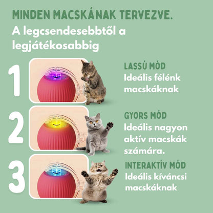 Az intelligens labda macskáknak, 100%-ban autonóm, valódi zsákmányt utánzó mozgásra tervezve