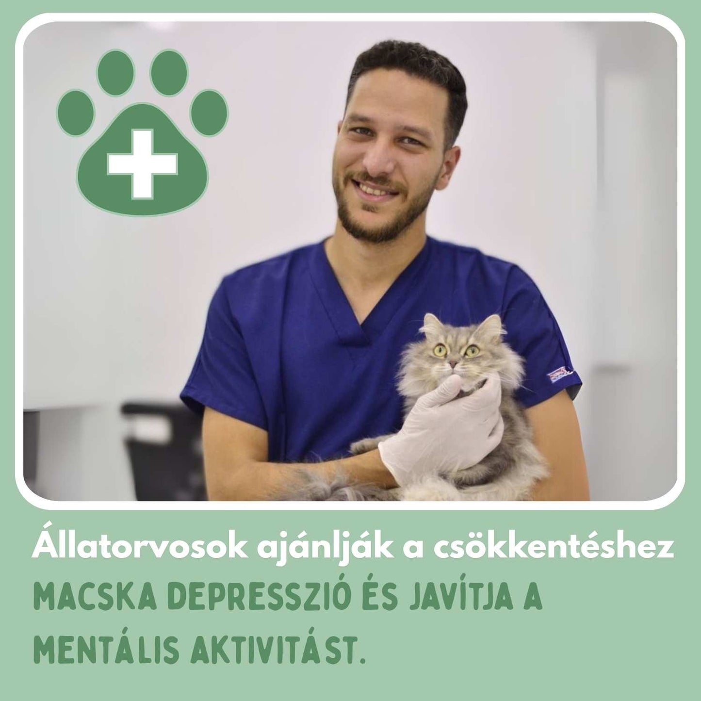 Az intelligens labda macskáknak, 100%-ban autonóm, valódi zsákmányt utánzó mozgásra tervezve