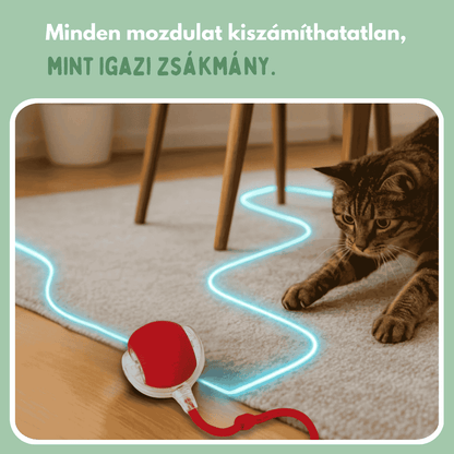 Az intelligens labda macskáknak, 100%-ban autonóm, valódi zsákmányt utánzó mozgásra tervezve