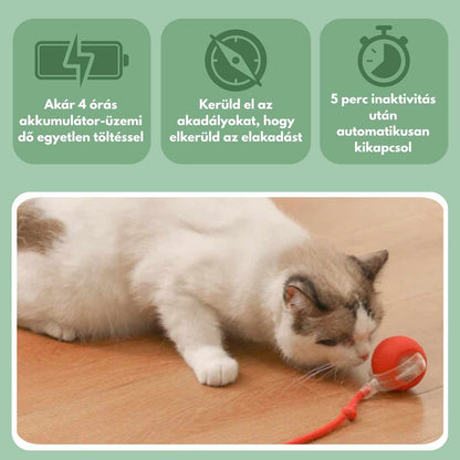 Az intelligens labda macskáknak, 100%-ban autonóm, valódi zsákmányt utánzó mozgásra tervezve