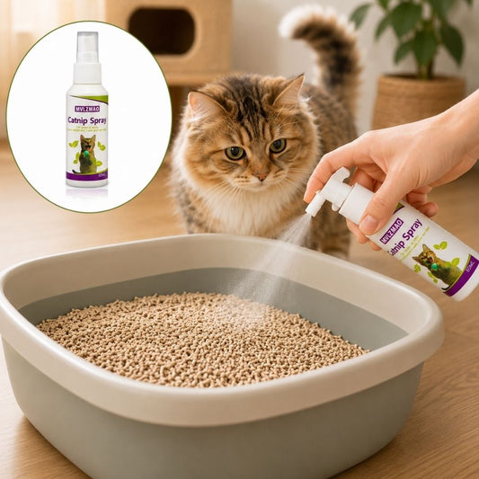 Catnip spray