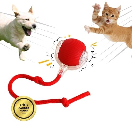 Ball ™ - Interaktív kalandgolyó a háziállatához